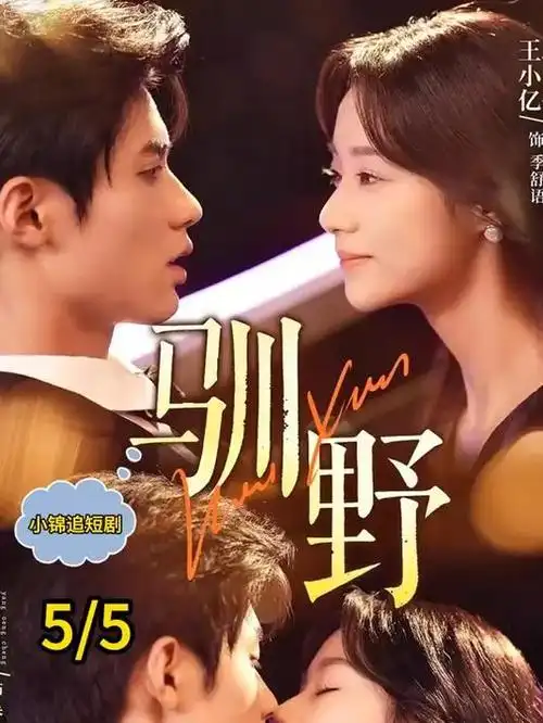 雾港迷踪 悬疑迷你剧全集手机观看